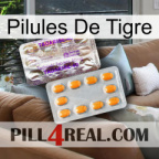 Tiger Pills new12